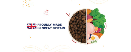 Decoding Pet Food Labels — What Every Pet Parent Should Know