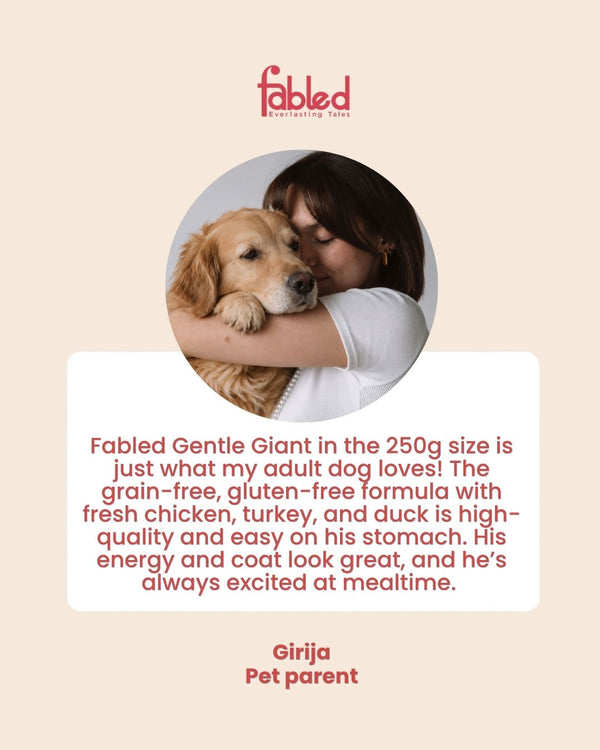 Gentle Giants