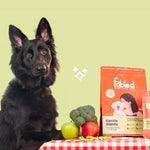 Gentle Giants Pack of 2