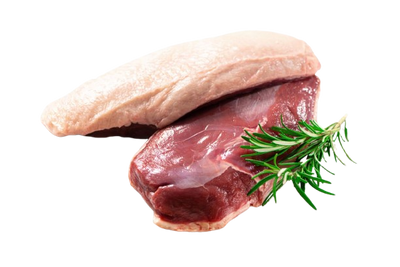 Duck