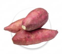 Sweet Potato