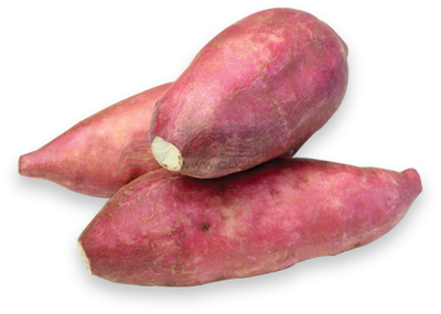 Sweet Potato