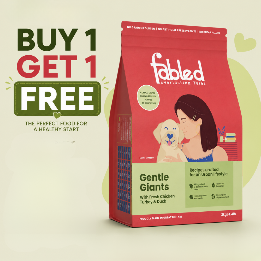 Gentle Giants Pack of 2